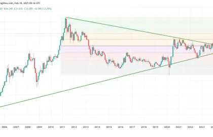🌟 Investing in Silver: Opportunities and Future Predictions